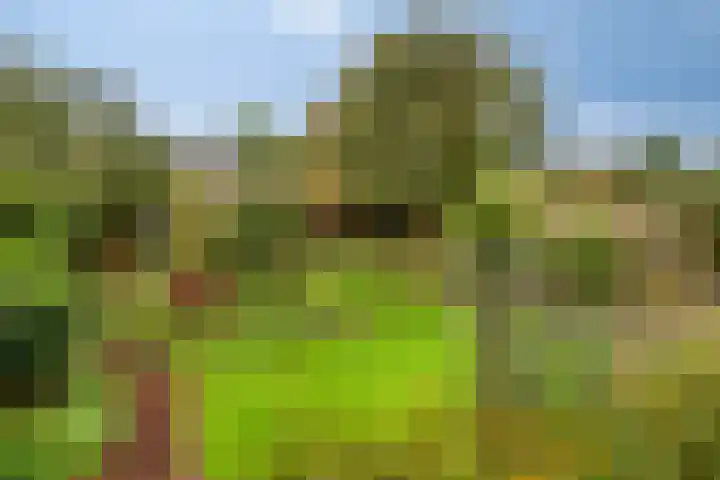 Midakkers 7 Eersel thumbnail 38