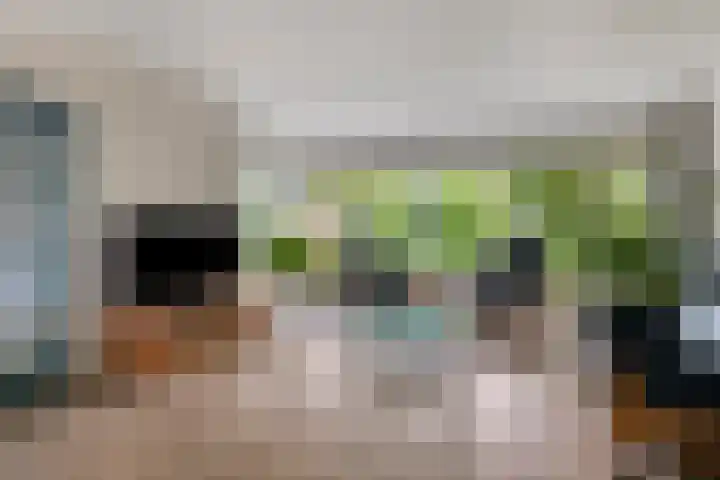 Midakkers 7 Eersel thumbnail 4