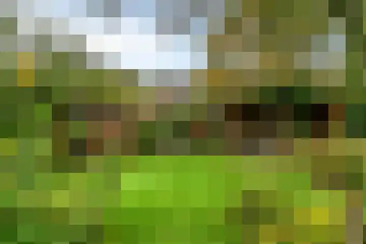 Midakkers 7 Eersel thumbnail 40