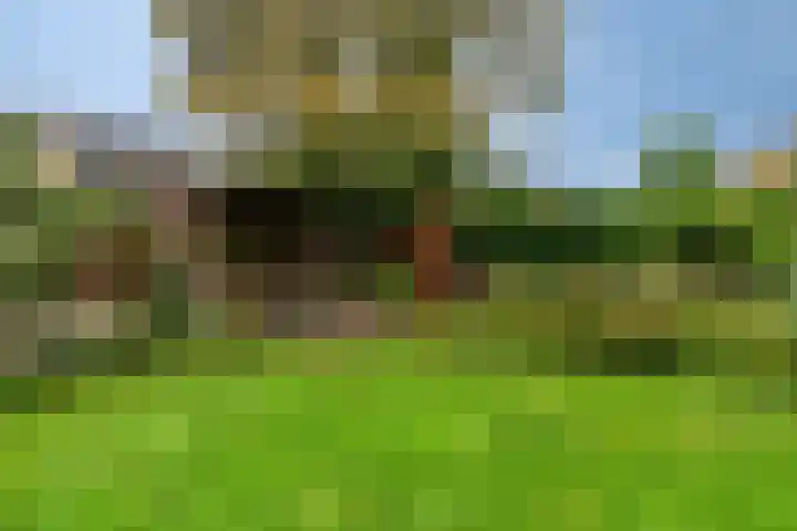 Midakkers 7 Eersel thumbnail 41
