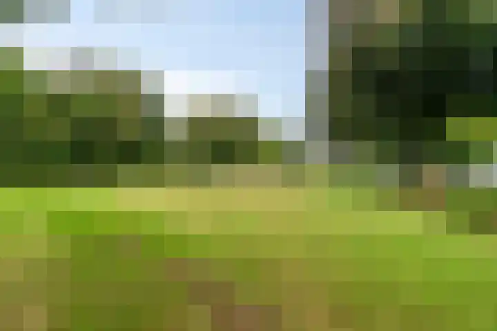 Midakkers 7 Eersel thumbnail 42