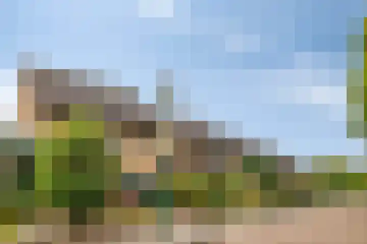 Midakkers 7 Eersel thumbnail 43