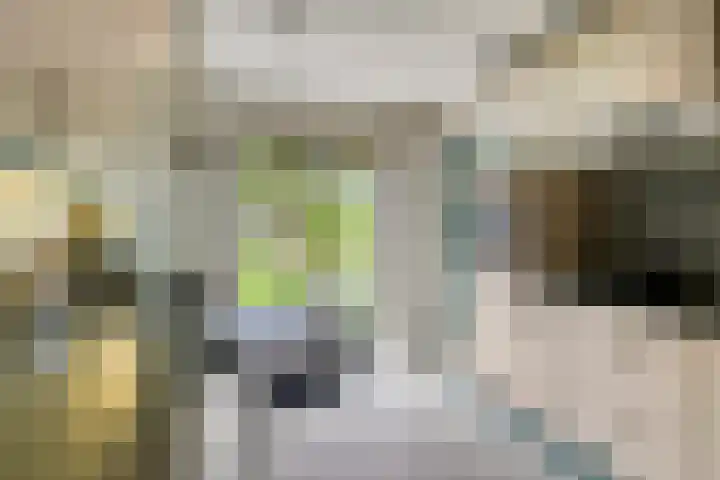 Midakkers 7 Eersel thumbnail 6