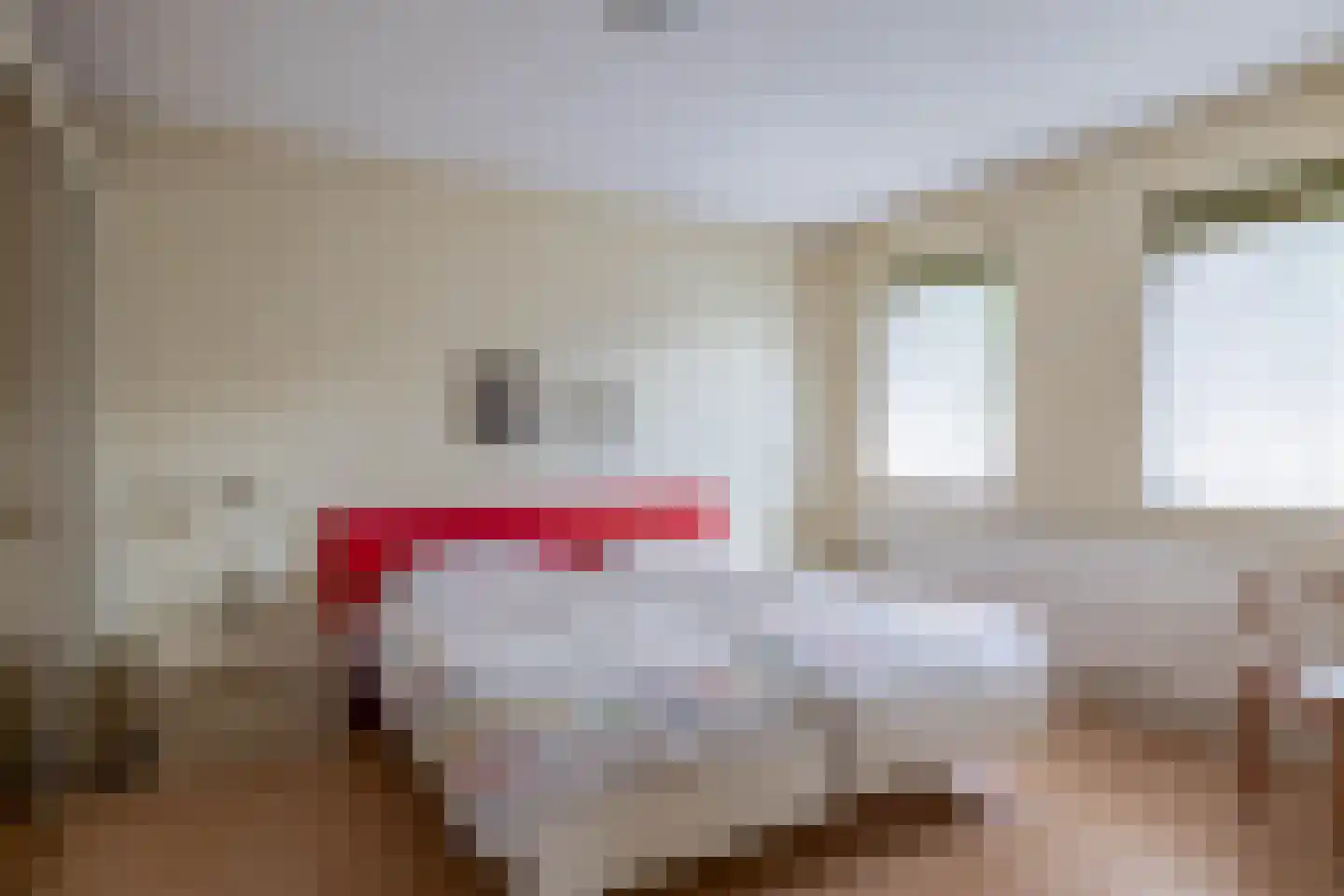 Midakkers 9 Eersel thumbnail 25