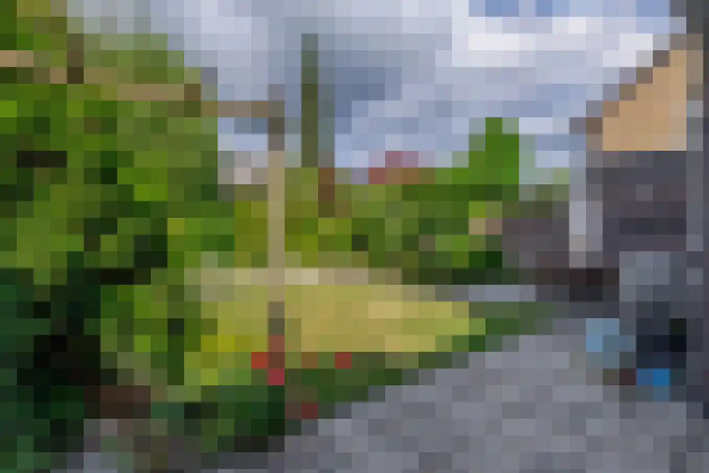 Midakkers 9 Eersel thumbnail 37