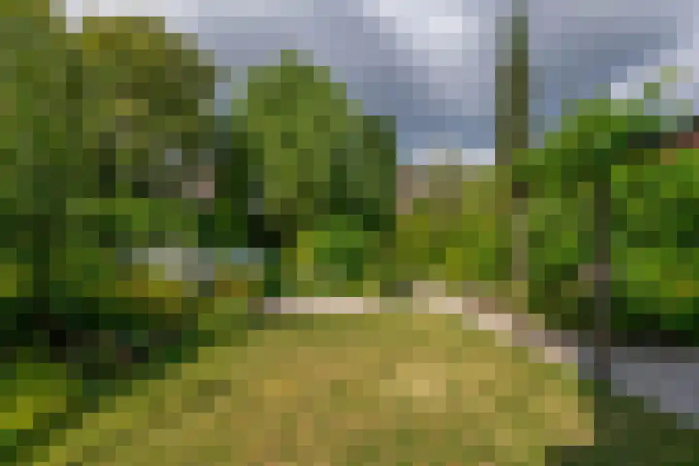 Midakkers 9 Eersel thumbnail 38