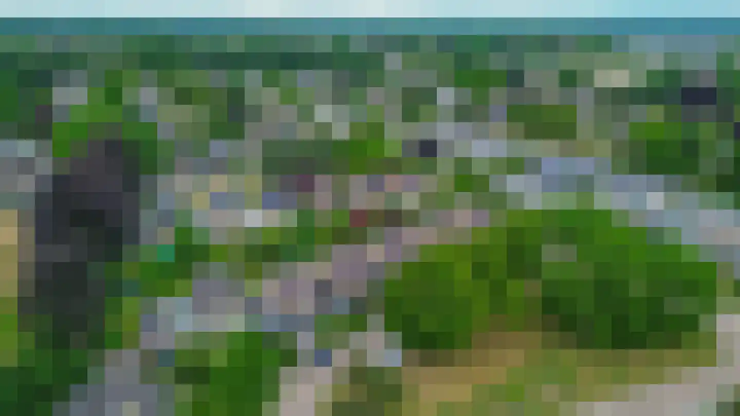 Midakkers 9 Eersel thumbnail 53