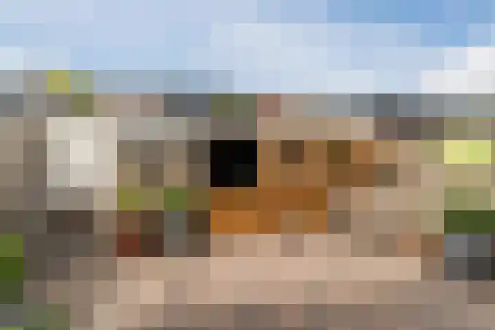Midaslaan 25 Eindhoven thumbnail 34
