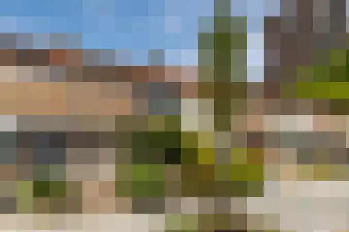 Midaslaan 25 Eindhoven thumbnail 38