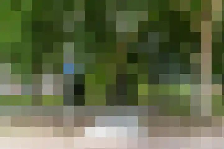 Midaslaan 25 Eindhoven thumbnail 39
