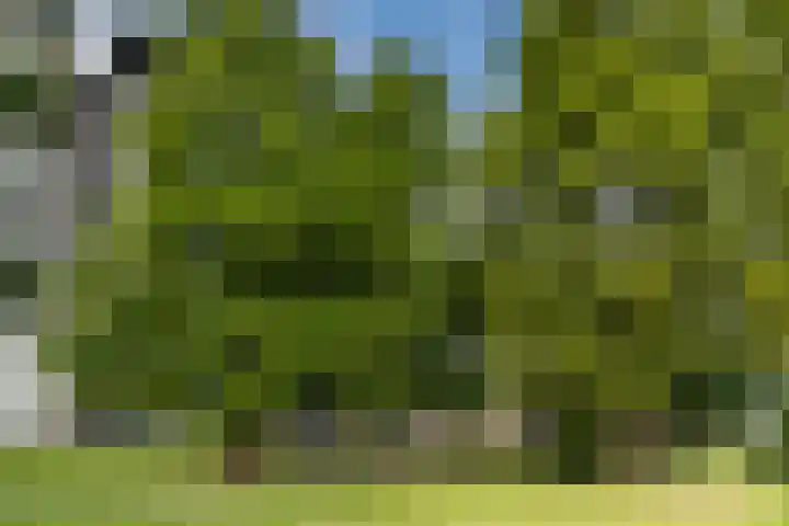 Midaslaan 25 Eindhoven thumbnail 40