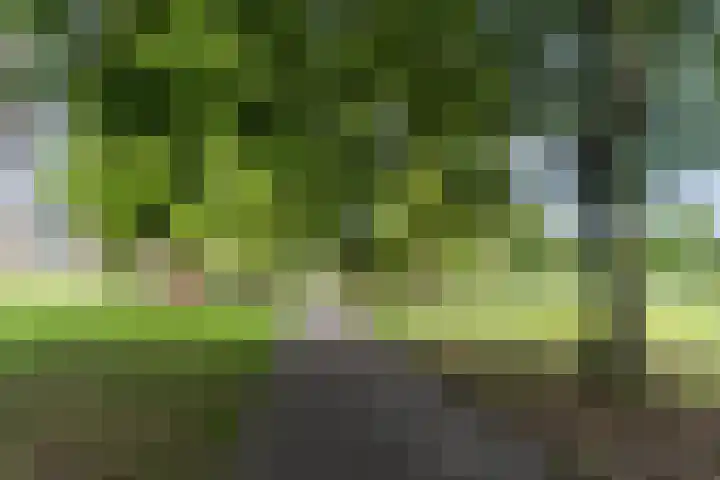 Midaslaan 25 Eindhoven thumbnail 41