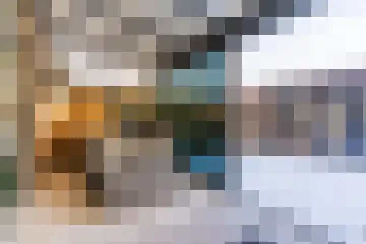 Midaslaan 26 Eindhoven thumbnail 28