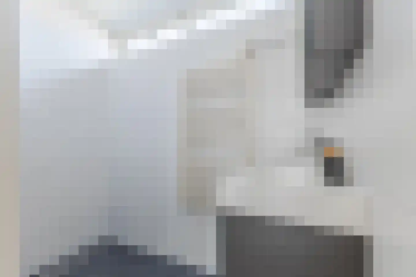 Midaslaan 8 Eindhoven thumbnail 27