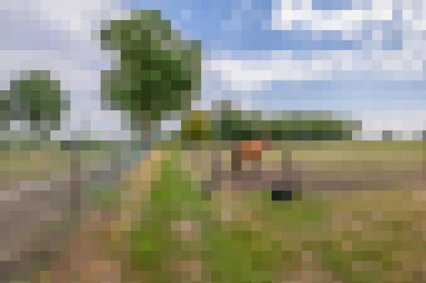 Midbuulweg 14 Budel thumbnail 44