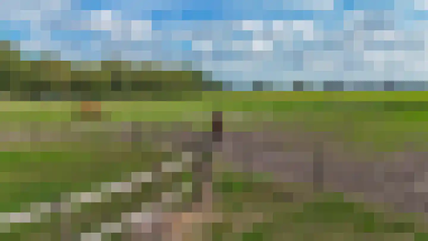 Midbuulweg 14 Budel thumbnail 48