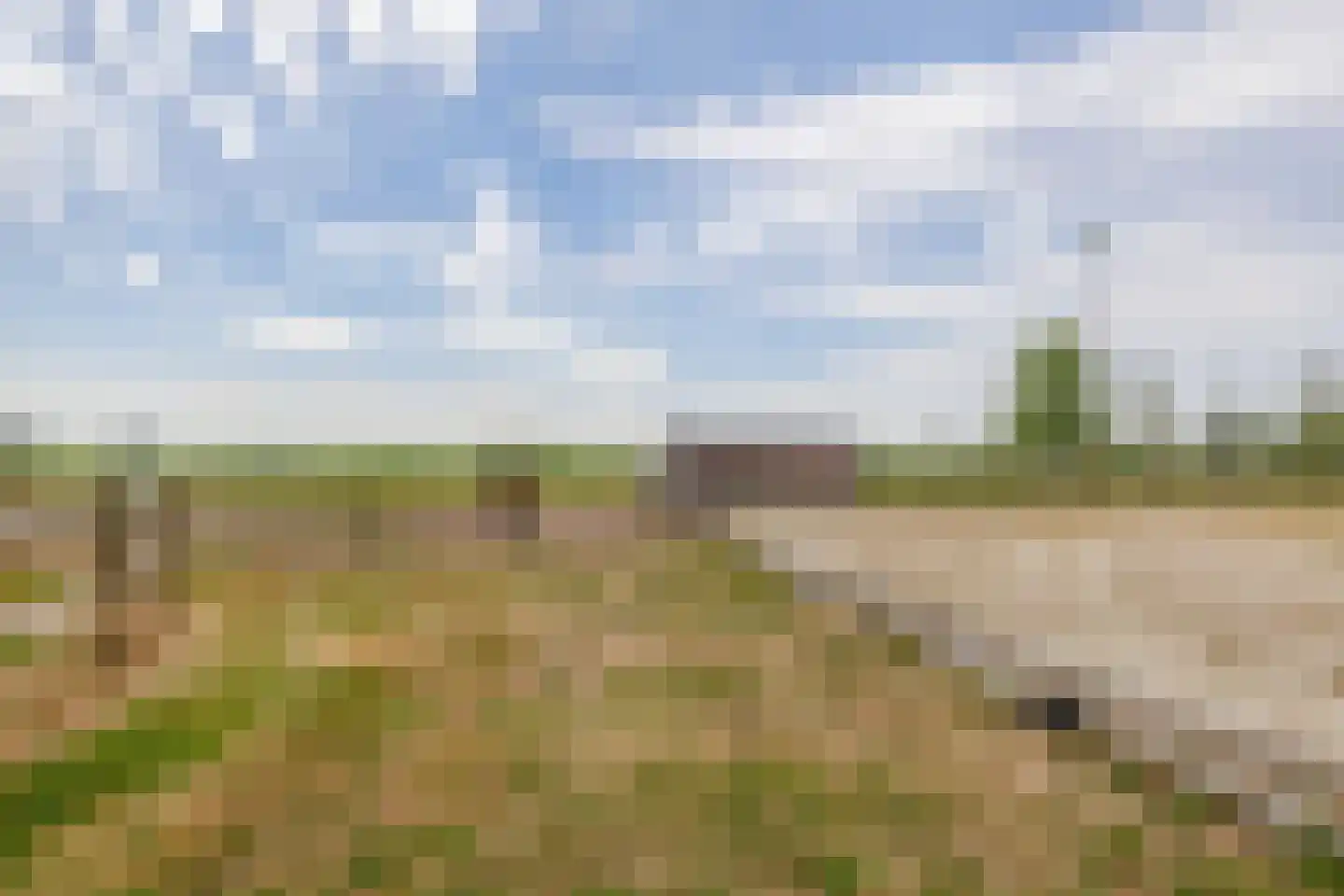 Midbuulweg 14 Budel thumbnail 5