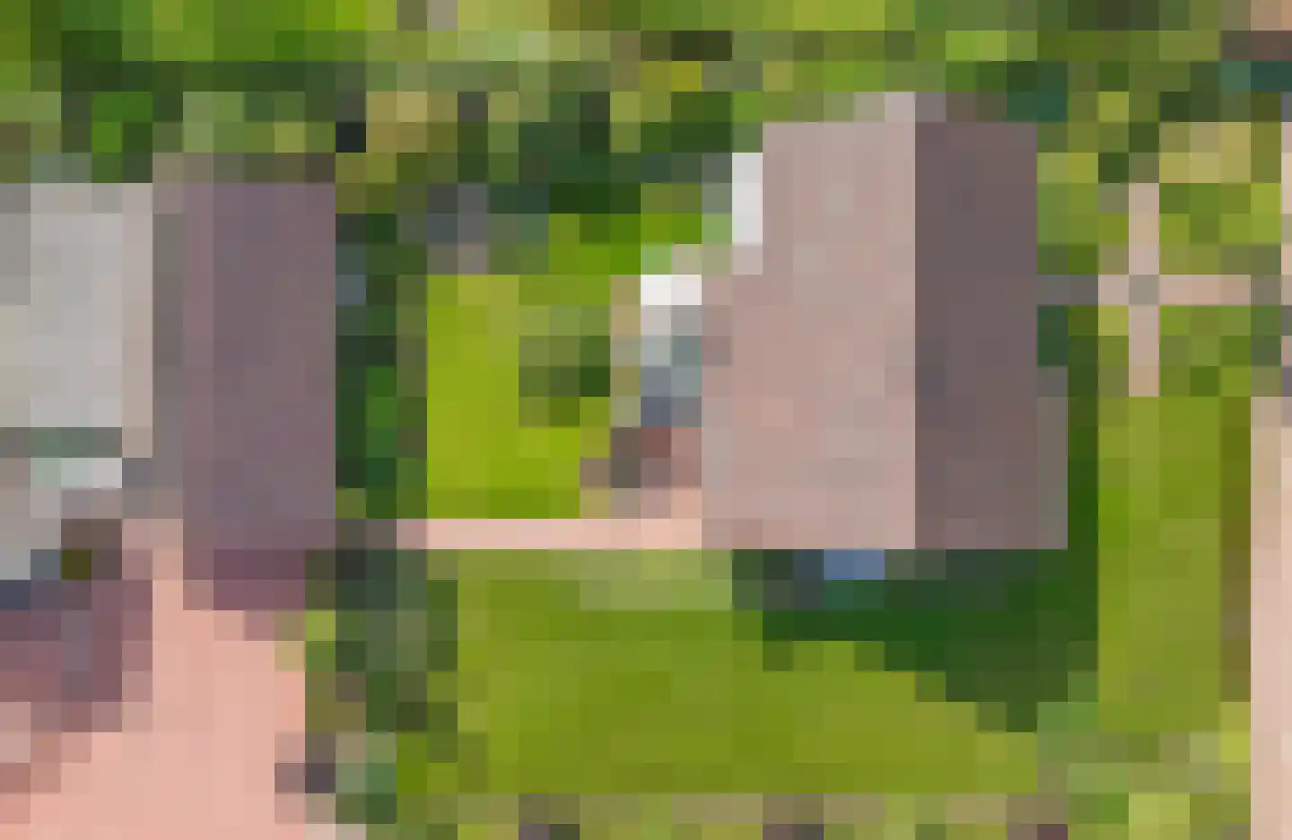 Midbuulweg 14 Budel thumbnail 8