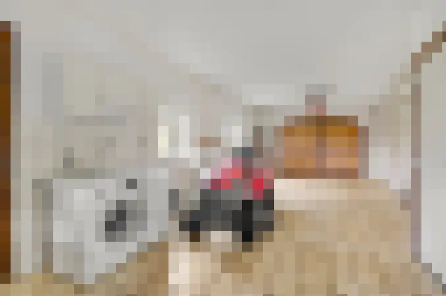 Midbuulweg 16 Budel thumbnail 35
