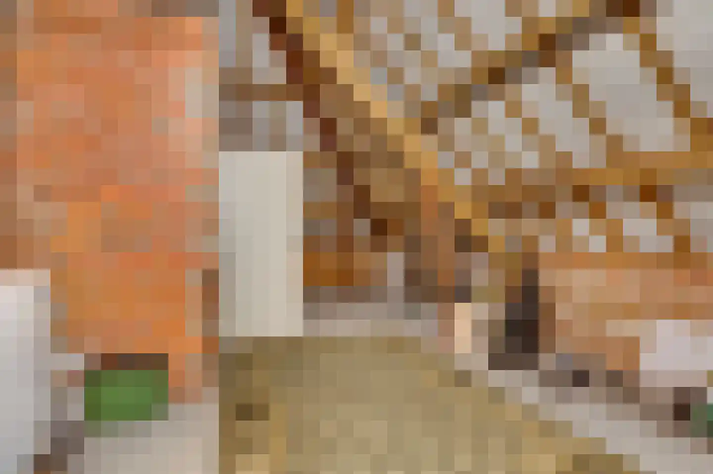 Midbuulweg 16 Budel thumbnail 37