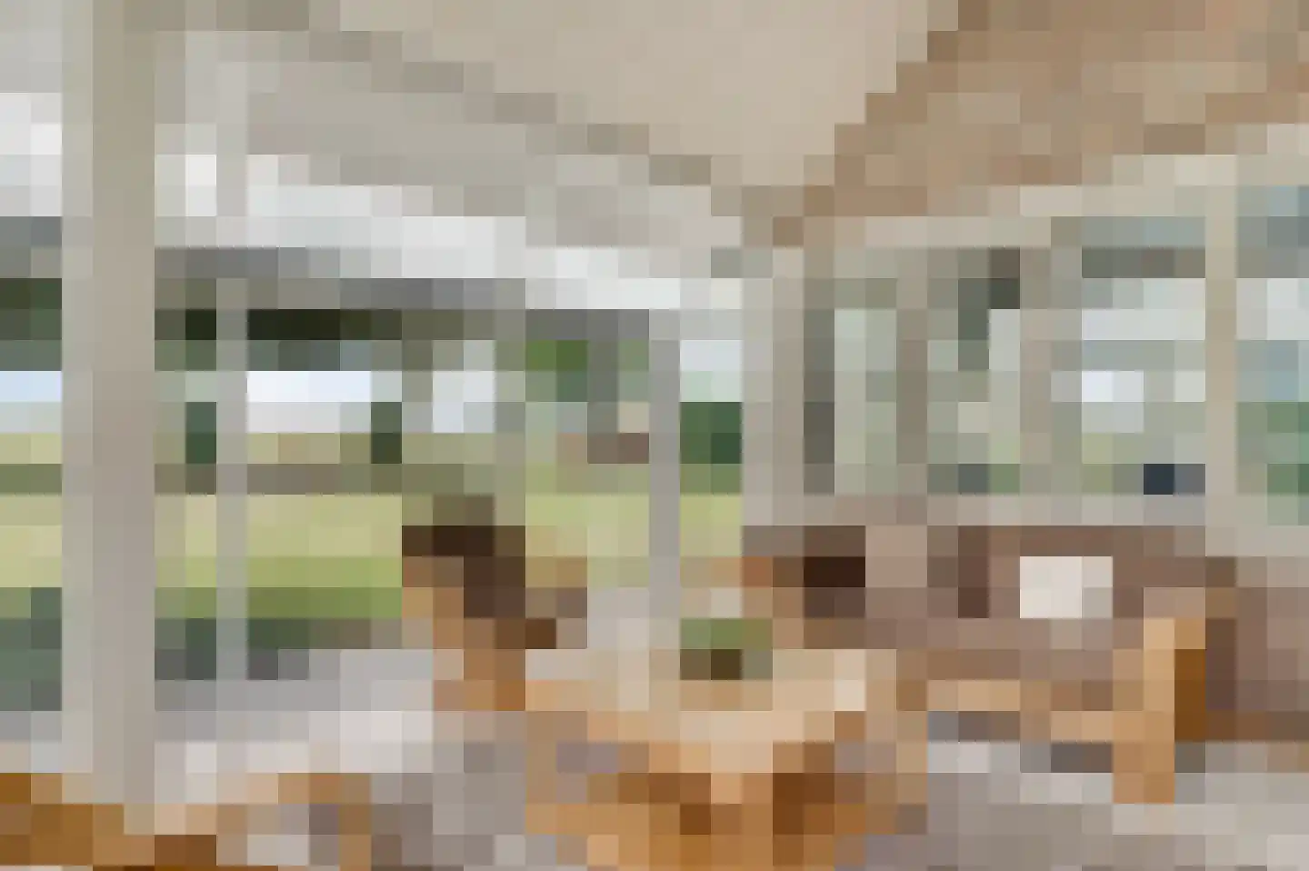 Midbuulweg 16 Budel thumbnail 4