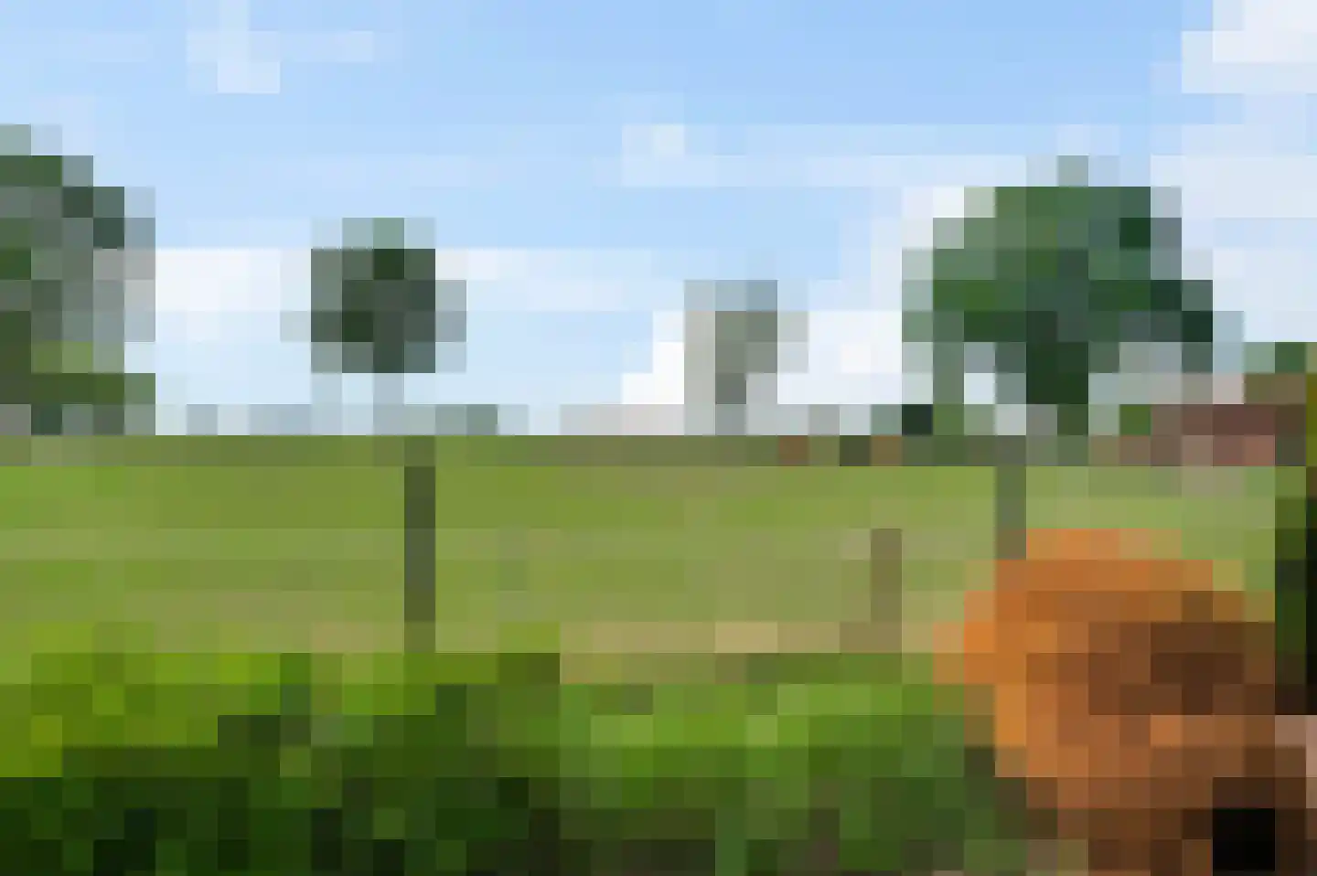 Midbuulweg 16 Budel thumbnail 45