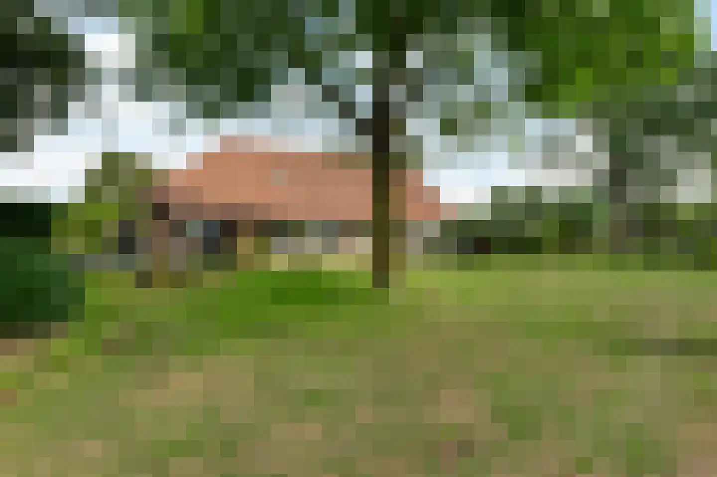 Midbuulweg 16 Budel thumbnail 46
