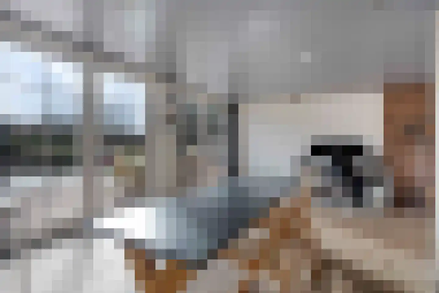 Midbuulweg 2 Budel thumbnail 18