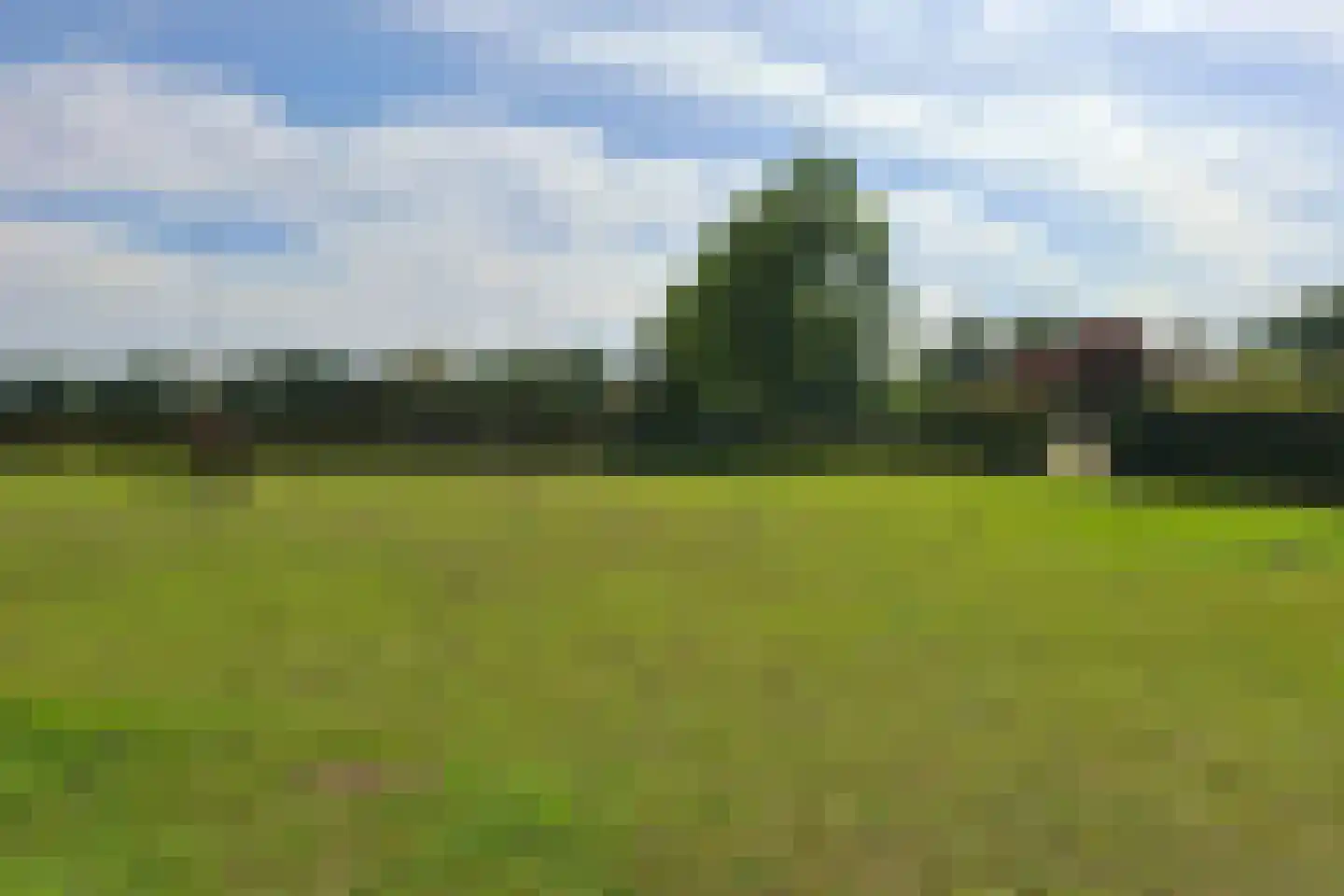 Midbuulweg 2 Budel thumbnail 43