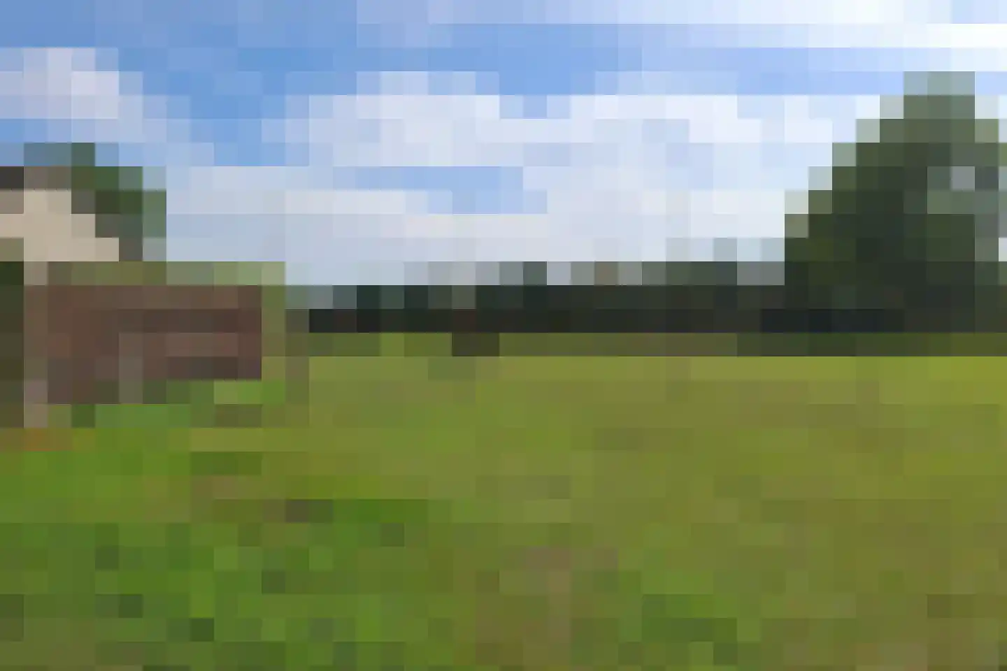 Midbuulweg 2 Budel thumbnail 44