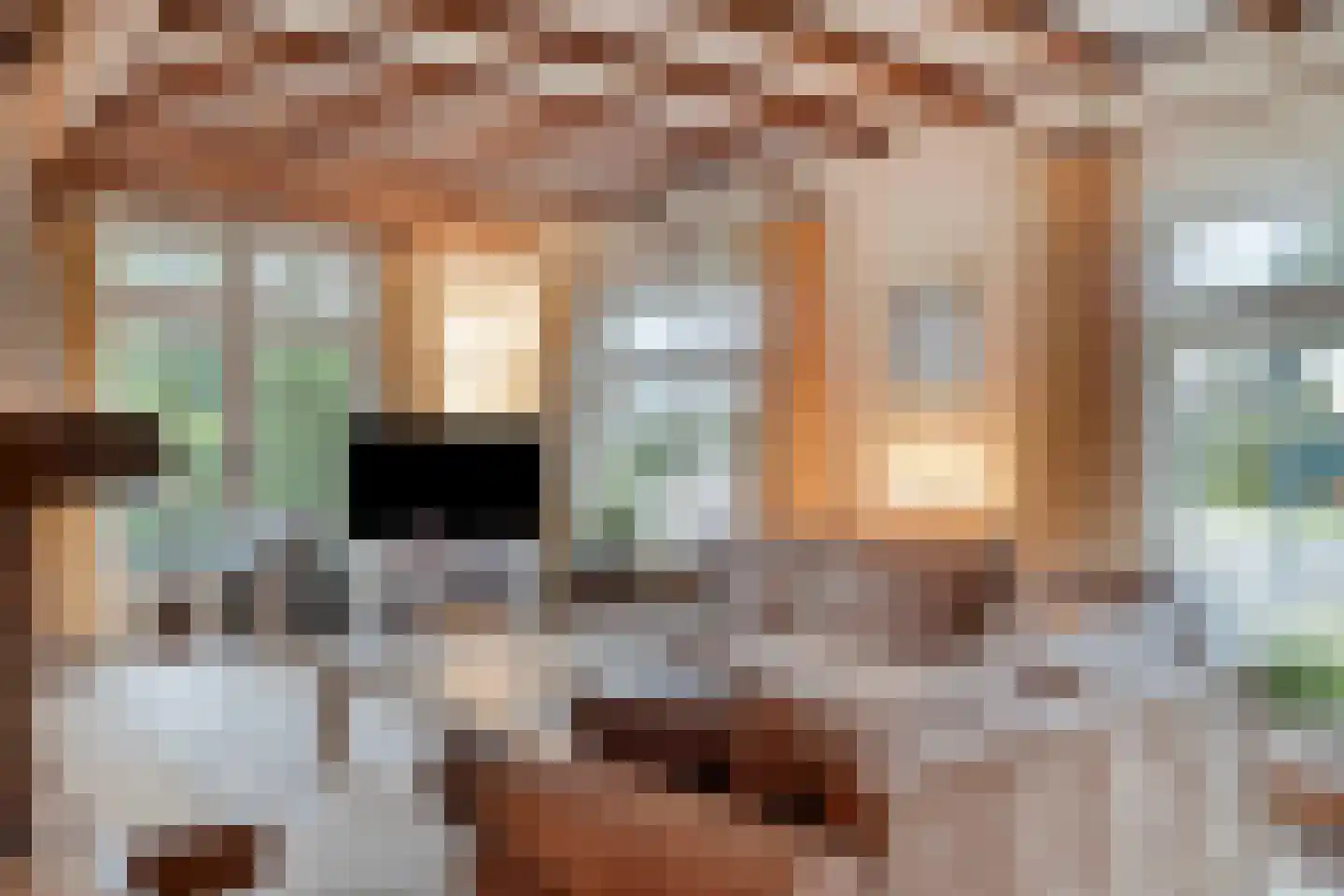 Midbuulweg 2 Budel thumbnail 9
