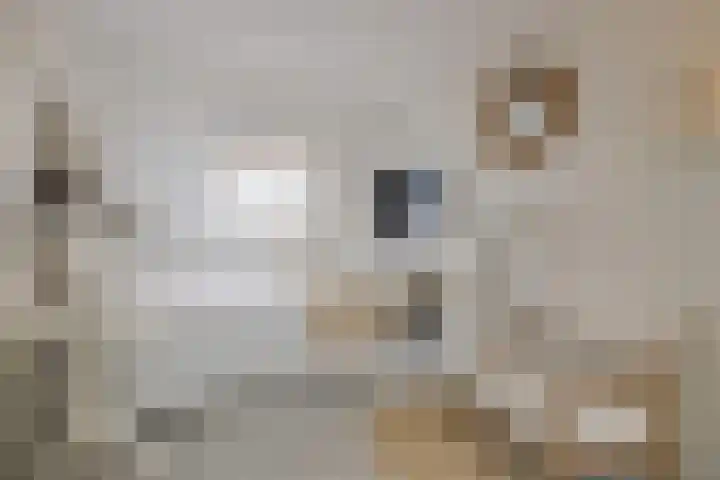 Middachten 4 Amstelveen thumbnail 30