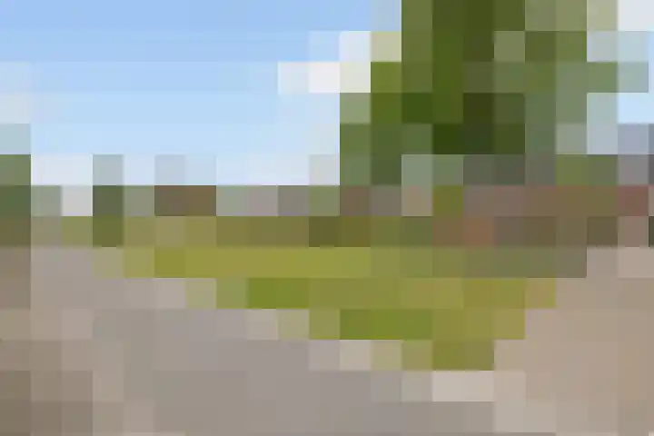 Middachten 4 Amstelveen thumbnail 37