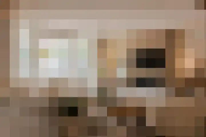 Middachten 4 Amstelveen thumbnail 4