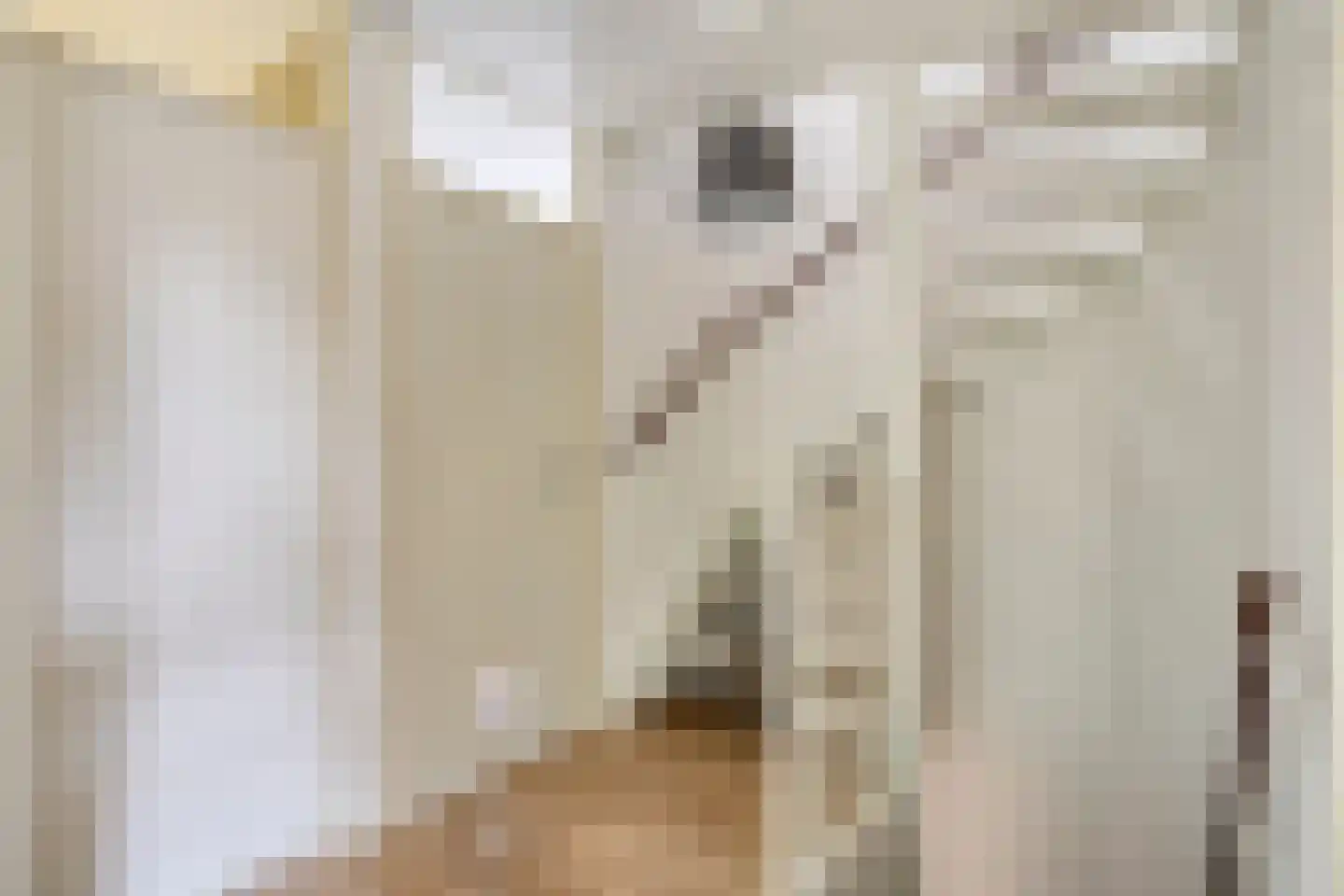 Middachtendreef 10 Helmond thumbnail 21