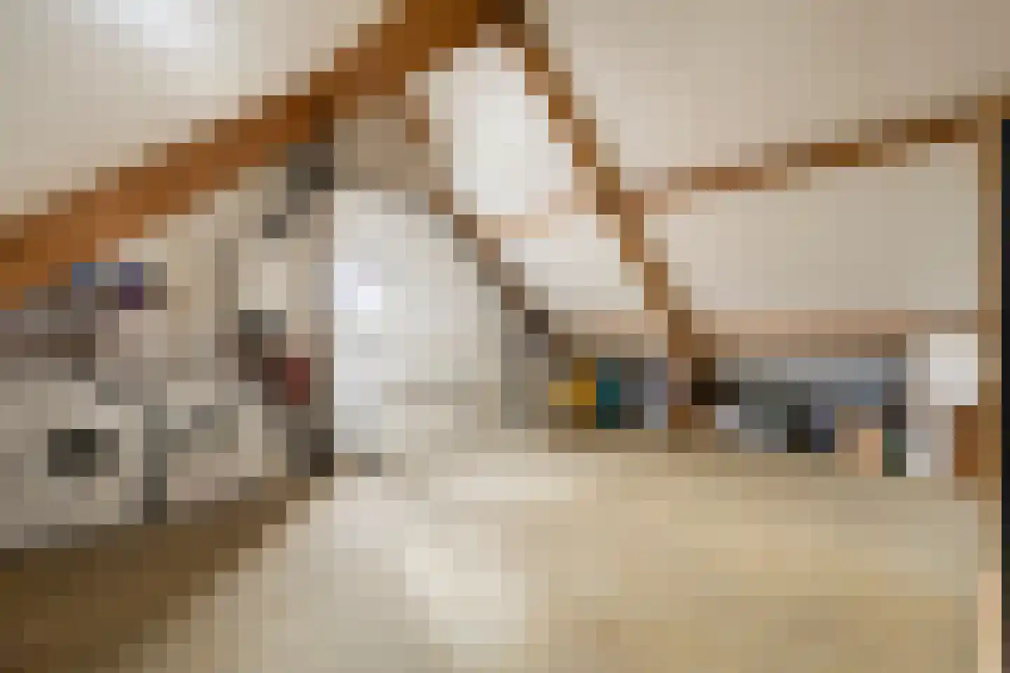 Middachtendreef 10 Helmond thumbnail 30