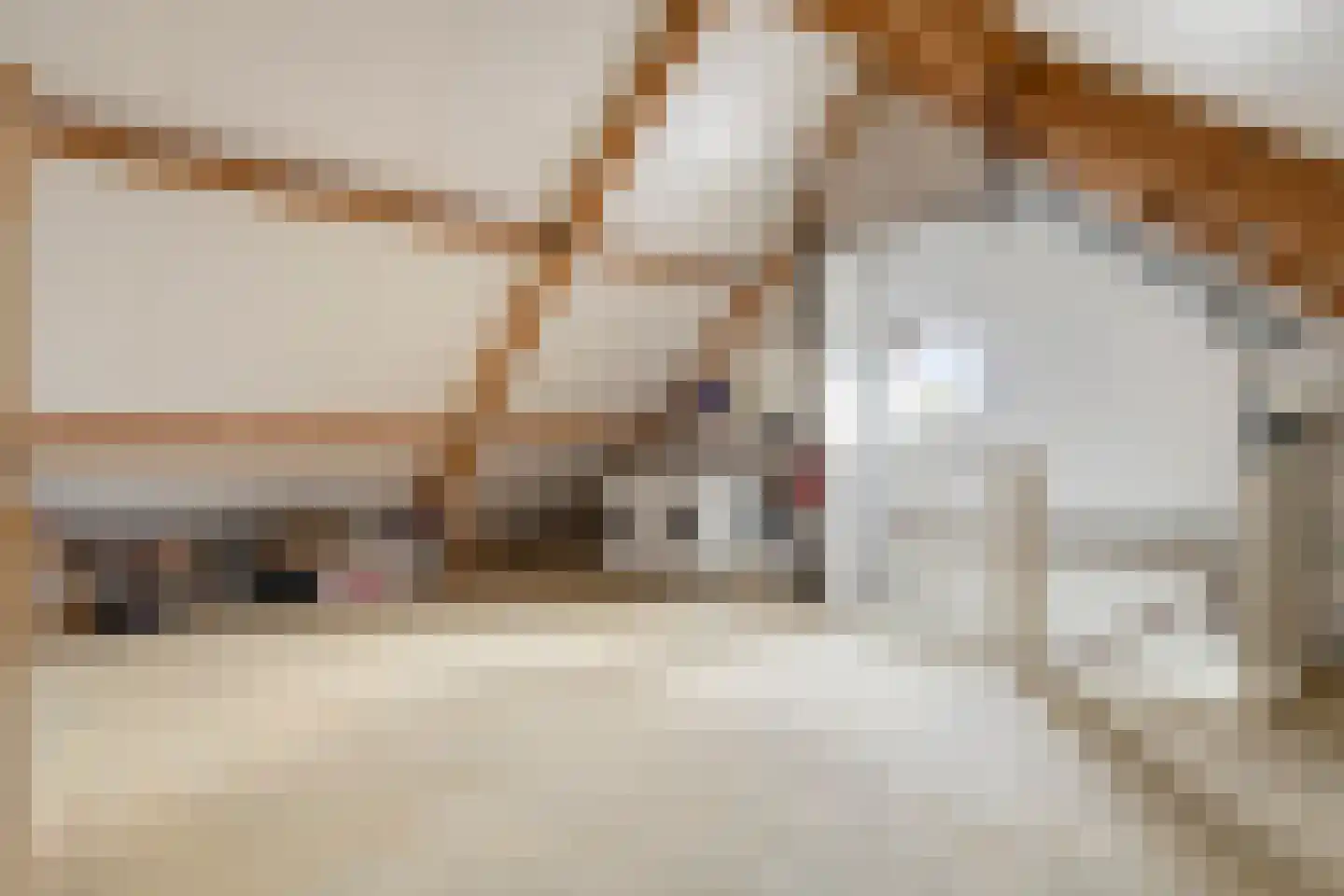 Middachtendreef 10 Helmond thumbnail 31