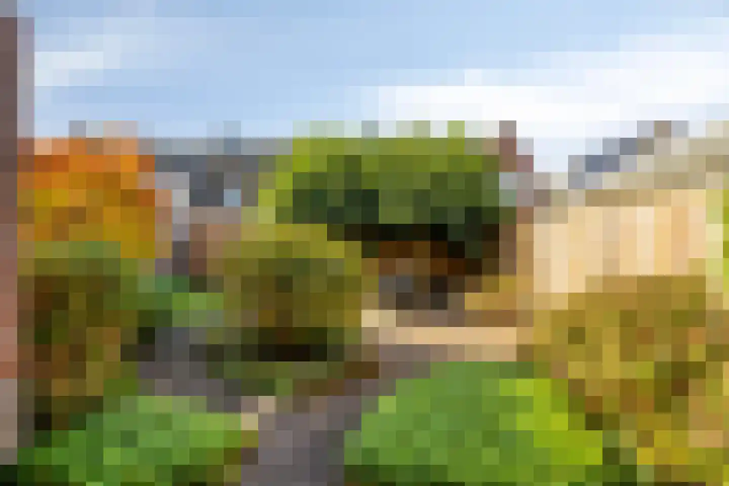Middachtendreef 10 Helmond thumbnail 34