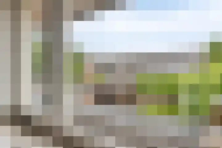 Middachtendreef 26 Helmond thumbnail 33