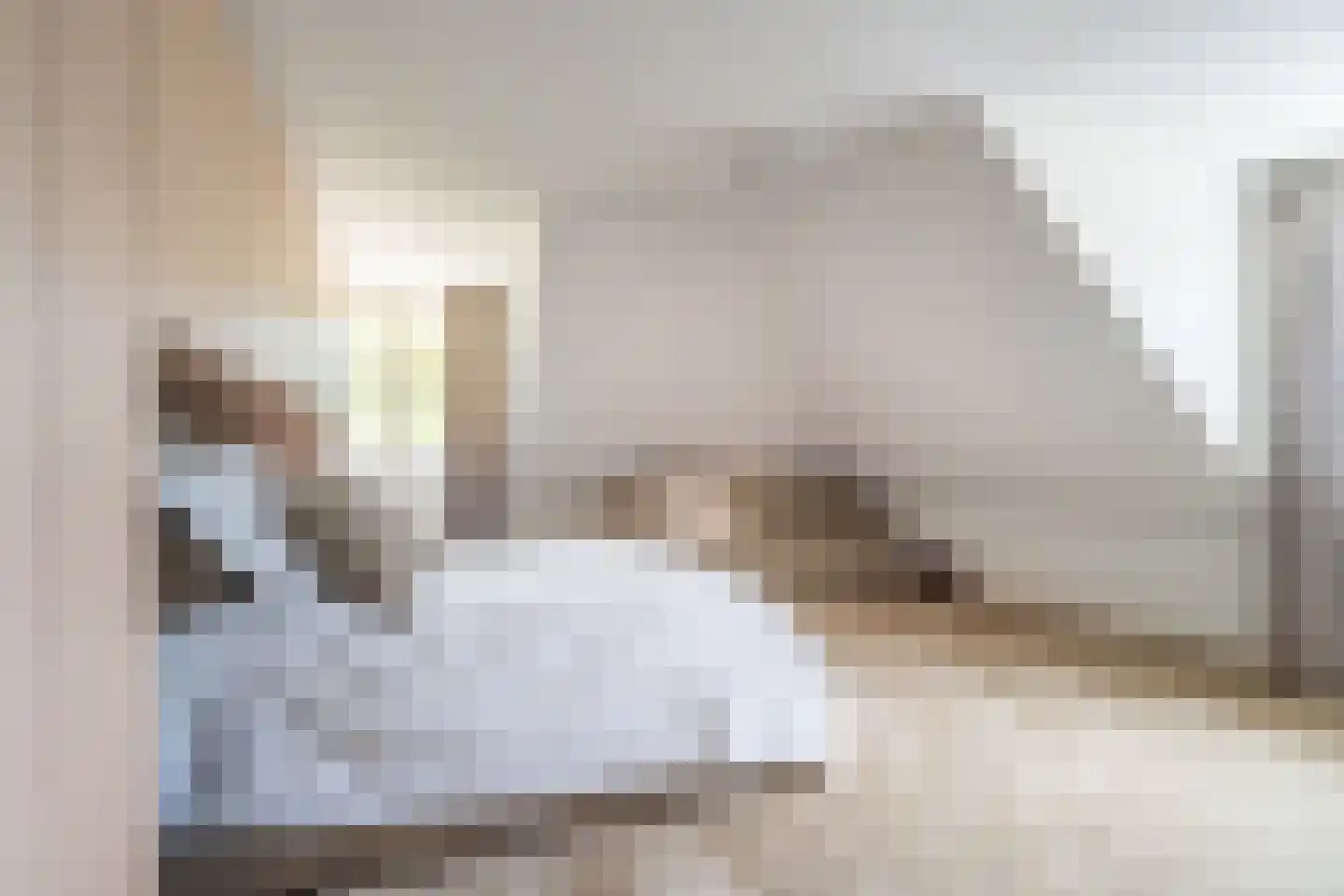 Middachtendreef 26 Helmond thumbnail 48