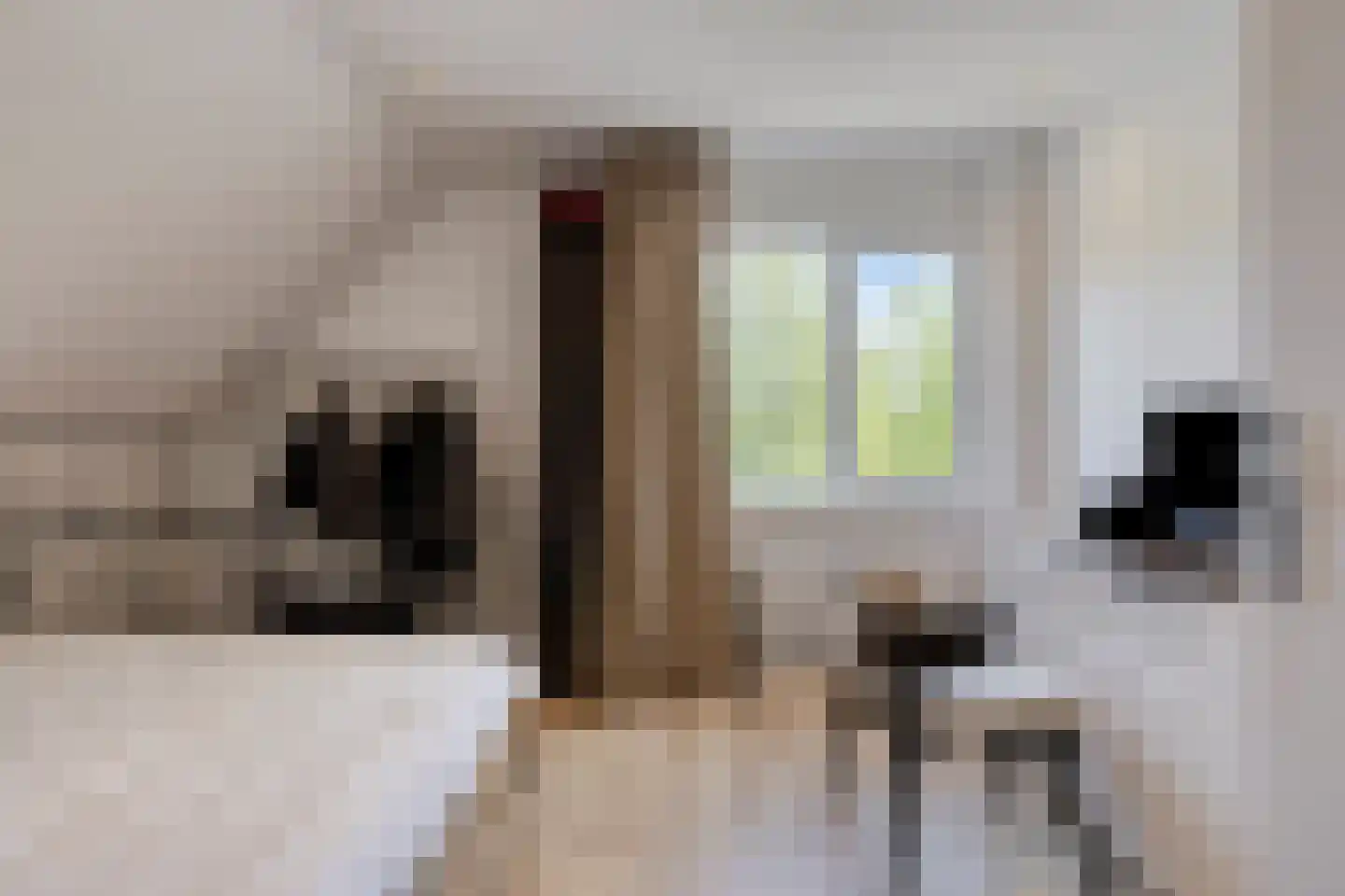 Middachtenlaan 46 Almere thumbnail 38