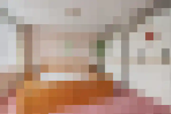 Middachtensingel 127 Arnhem thumbnail 18