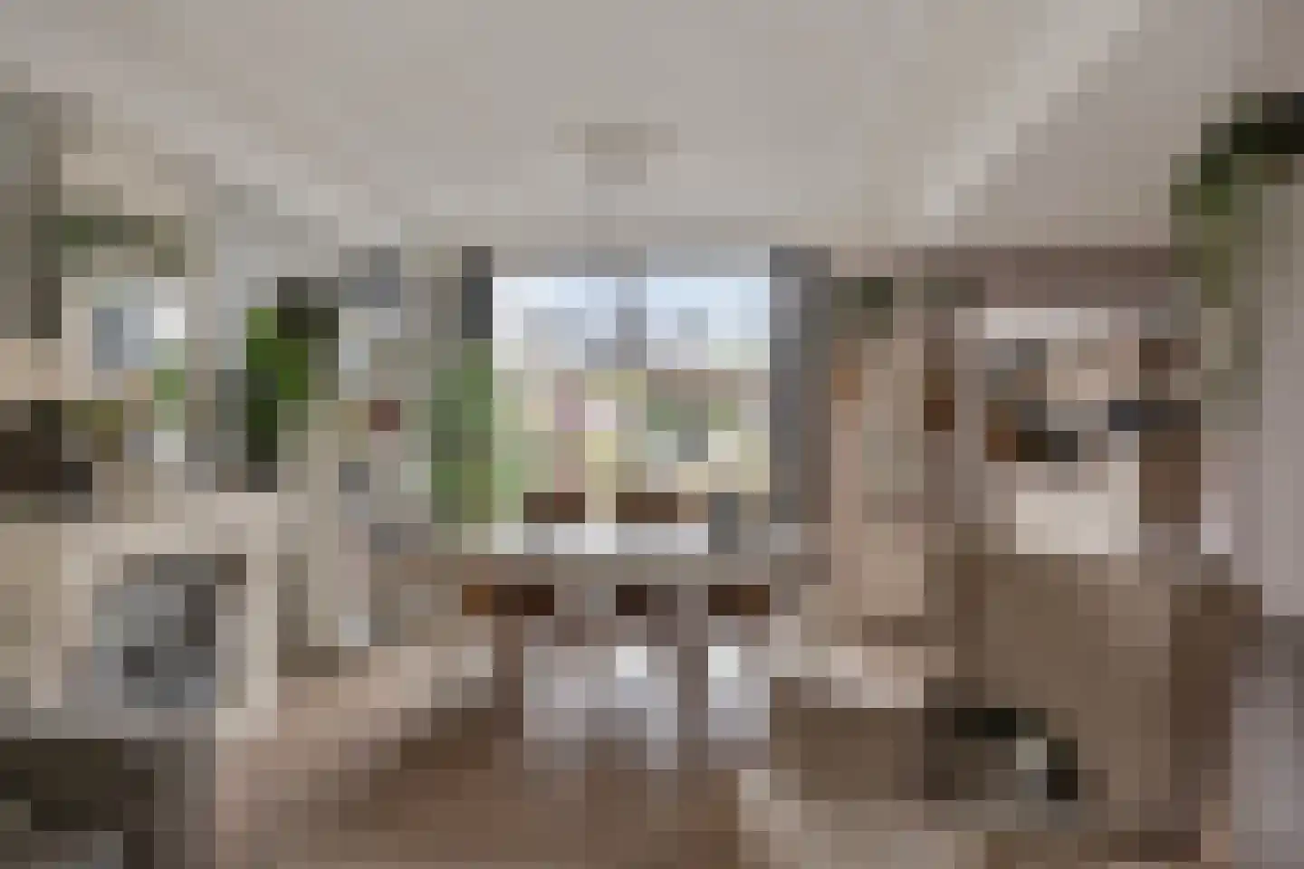 Middachtensingel 13 Arnhem thumbnail 12