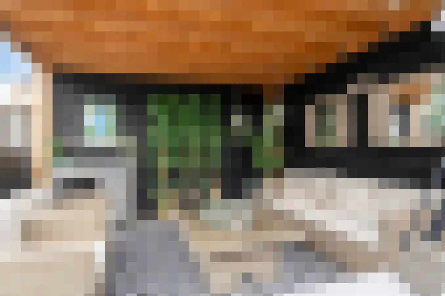 Middachtensingel 13 Arnhem thumbnail 30