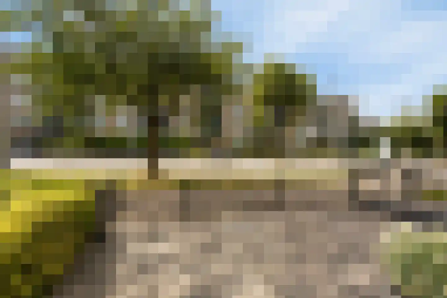 Middachtensingel 13 Arnhem thumbnail 6