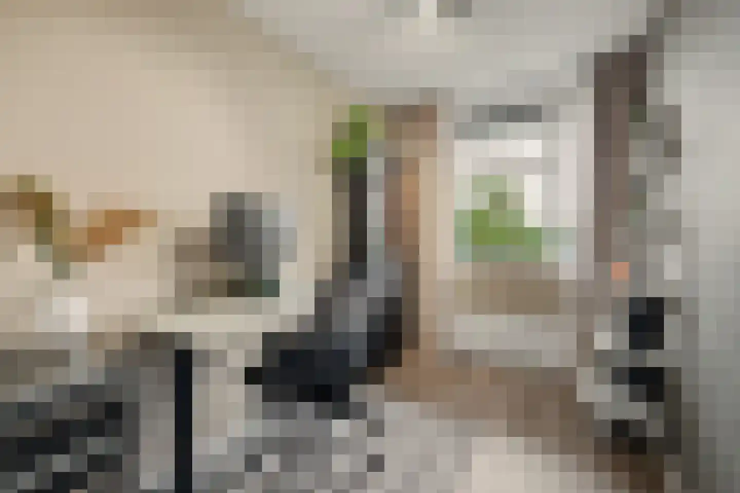 Middachtensingel 148 Arnhem thumbnail 17