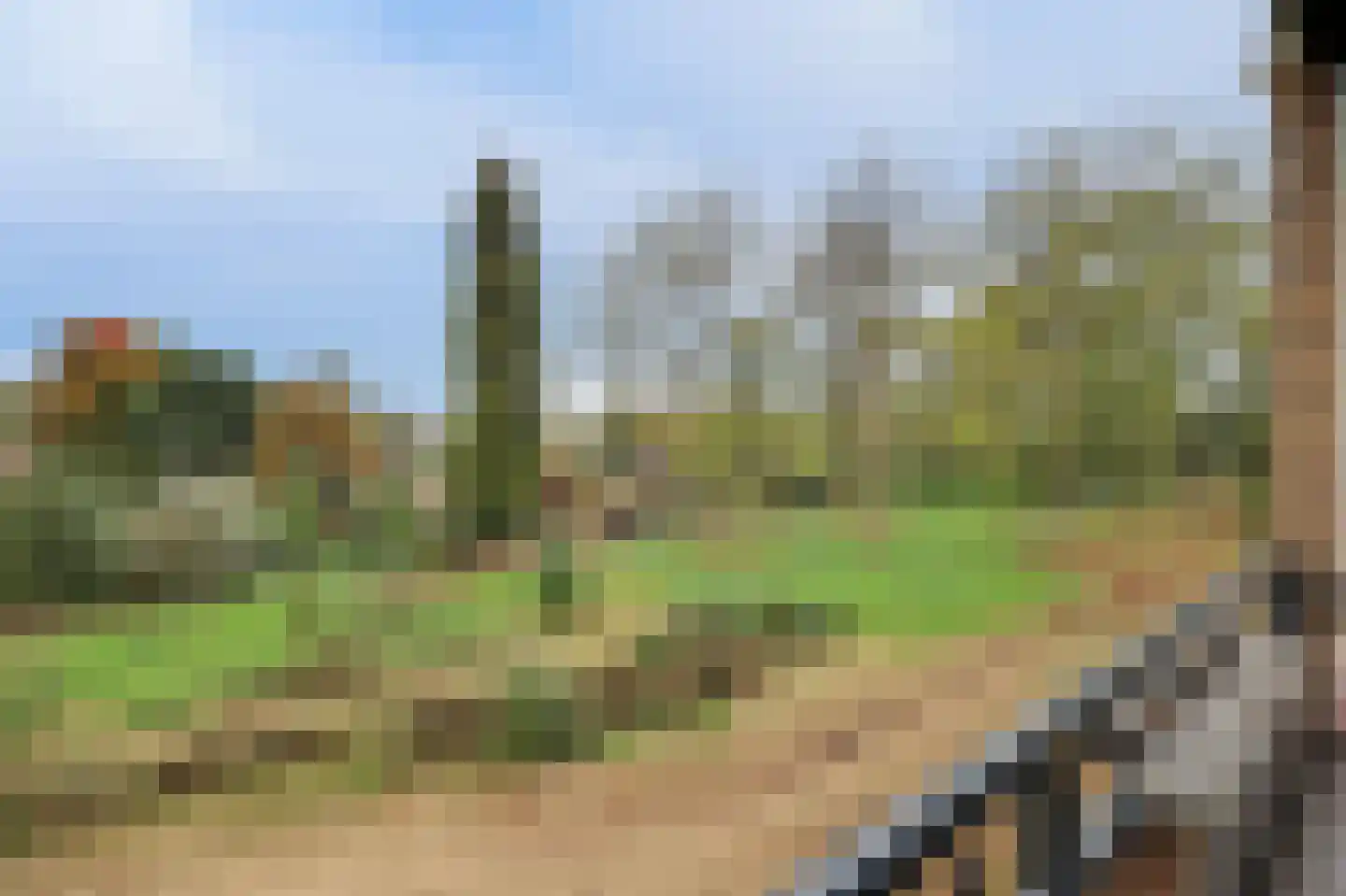 Middachtensingel 148 Arnhem thumbnail 24