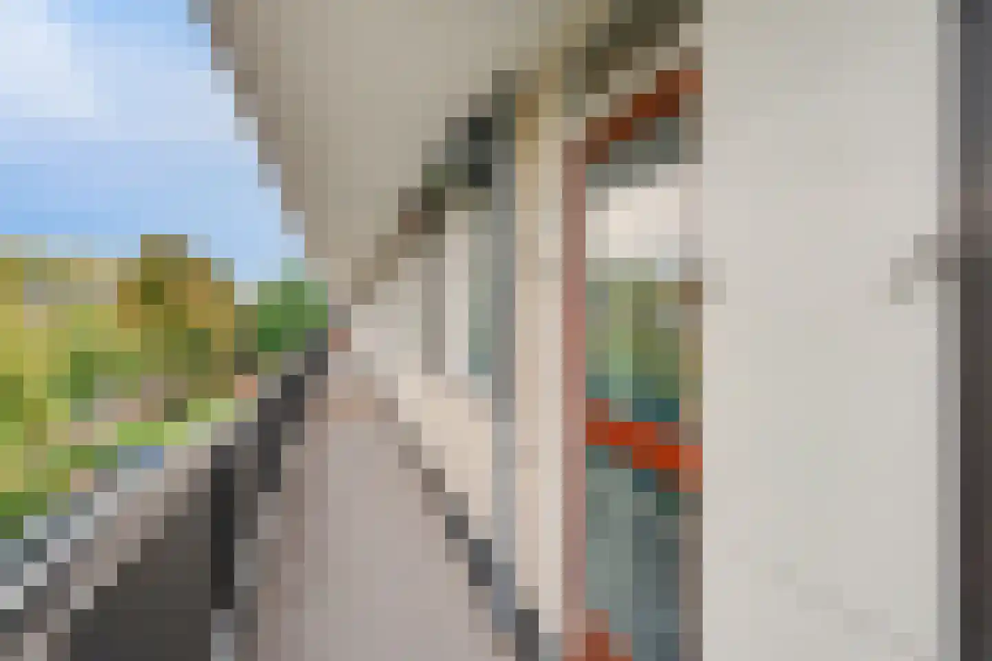 Middachtensingel 148 Arnhem thumbnail 29