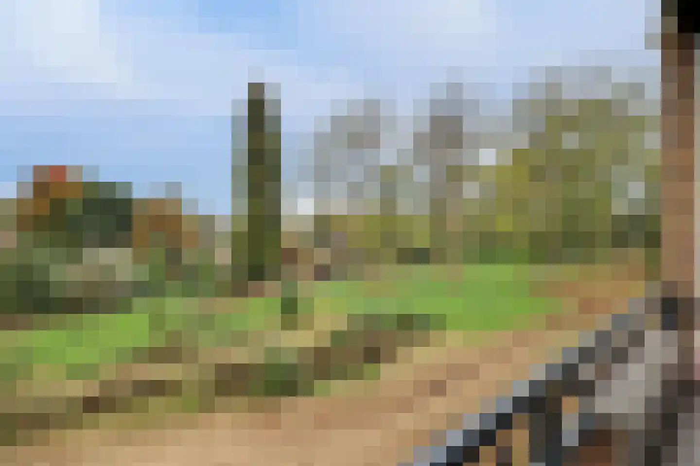 Middachtensingel 148 Arnhem thumbnail 32
