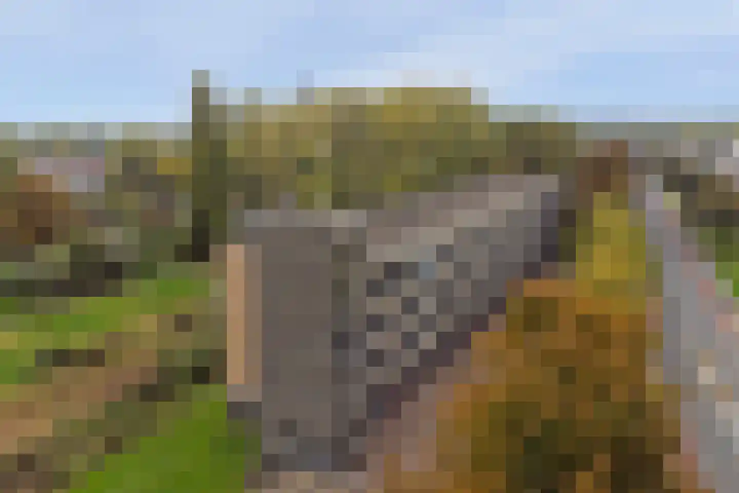Middachtensingel 148 Arnhem thumbnail 33